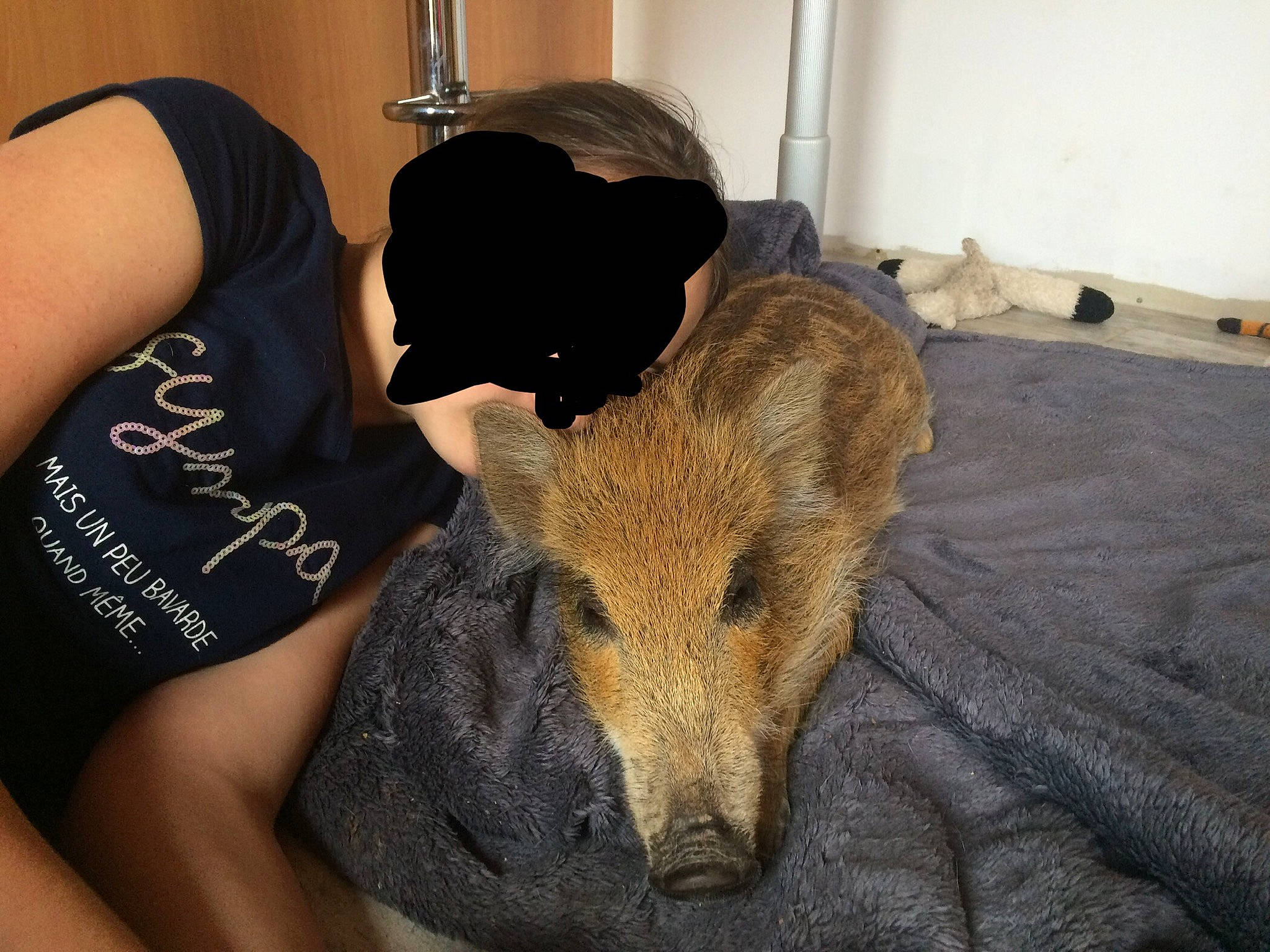 Prunelle participe au concours pour gagner de l'argent avec cette photo : canidae, ear, fur, human, shoulder