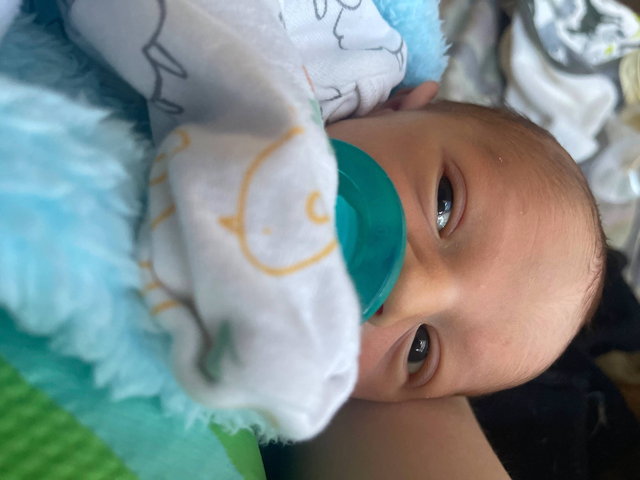 Lucifer joined the competition — help win amazing prizes! baby, cheek, child, eye, eyebrow, eyelash, flash_photography, freckle, grass, happy, iris, lip, mouth, nose, person, plant, portrait_photography, skin, toddler, toy