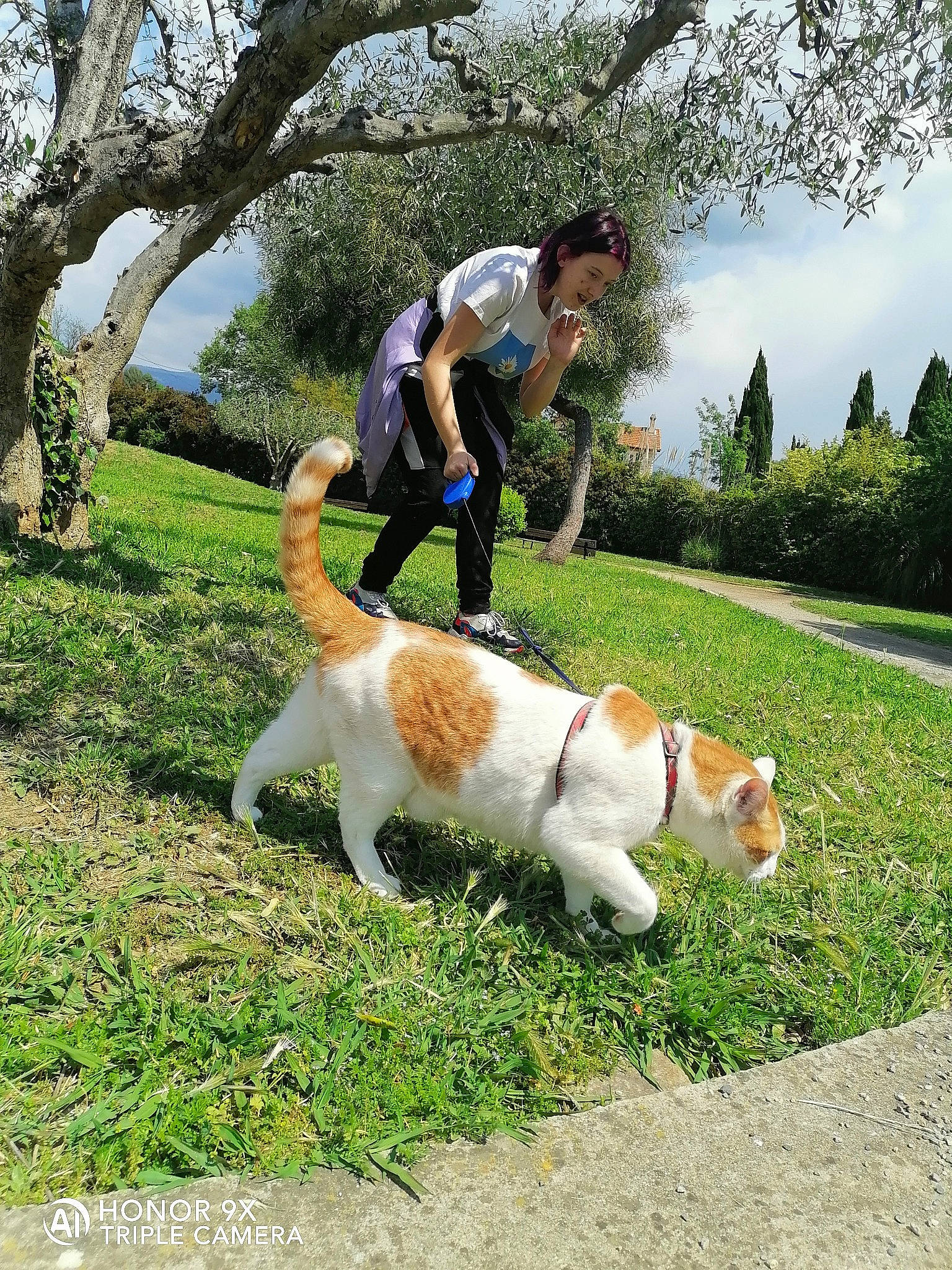 Piwi participe au concours pour gagner de l'argent avec cette photo : carnivore, cat, cloud, companion_dog, dog, dog_breed, felidae, grass, lap, lawn, leisure, people_in_nature, plant, recreation, sky, small_to_medium_sized_cats, sporting_group, tail, tree, walking