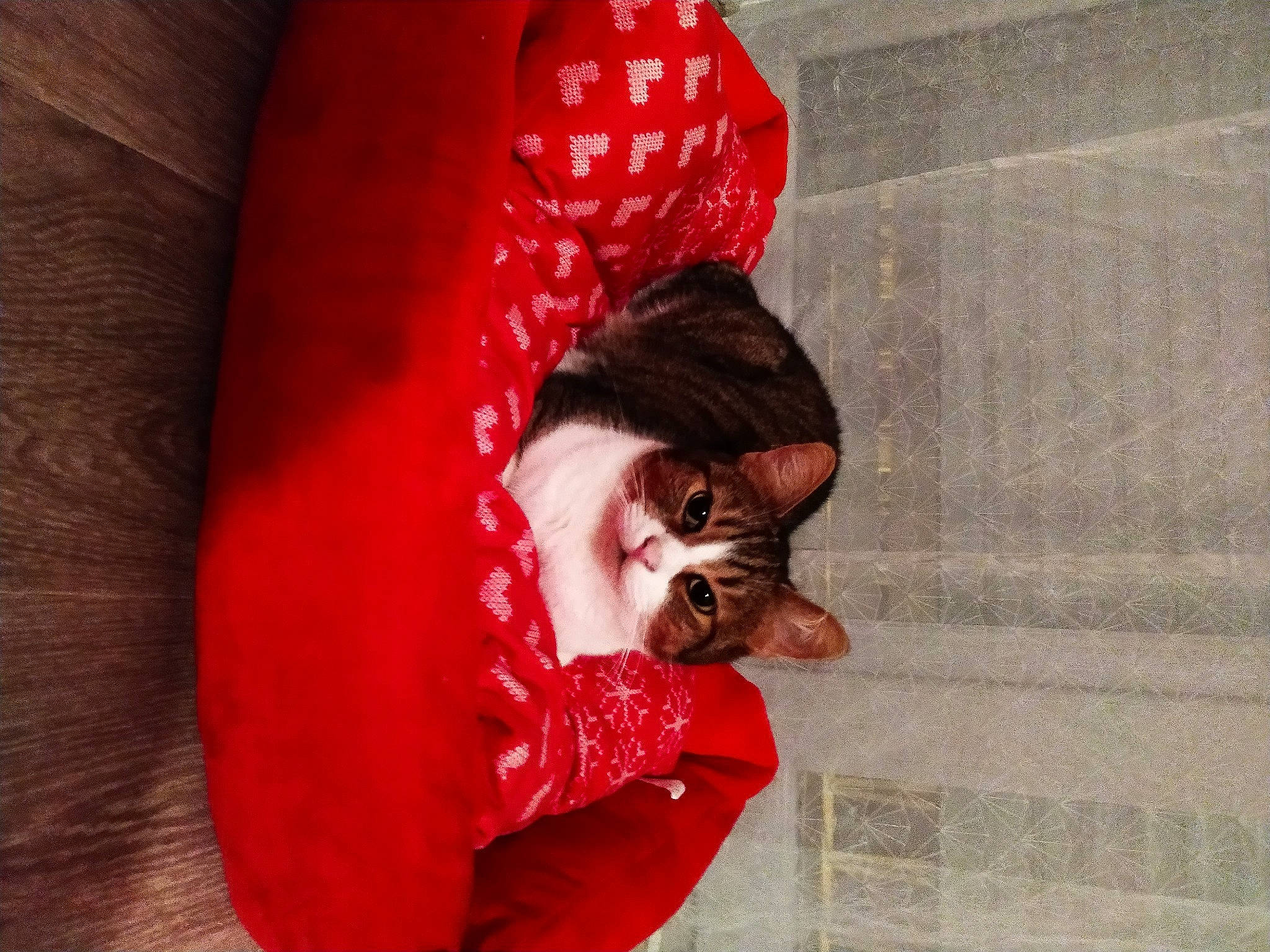 Noisette