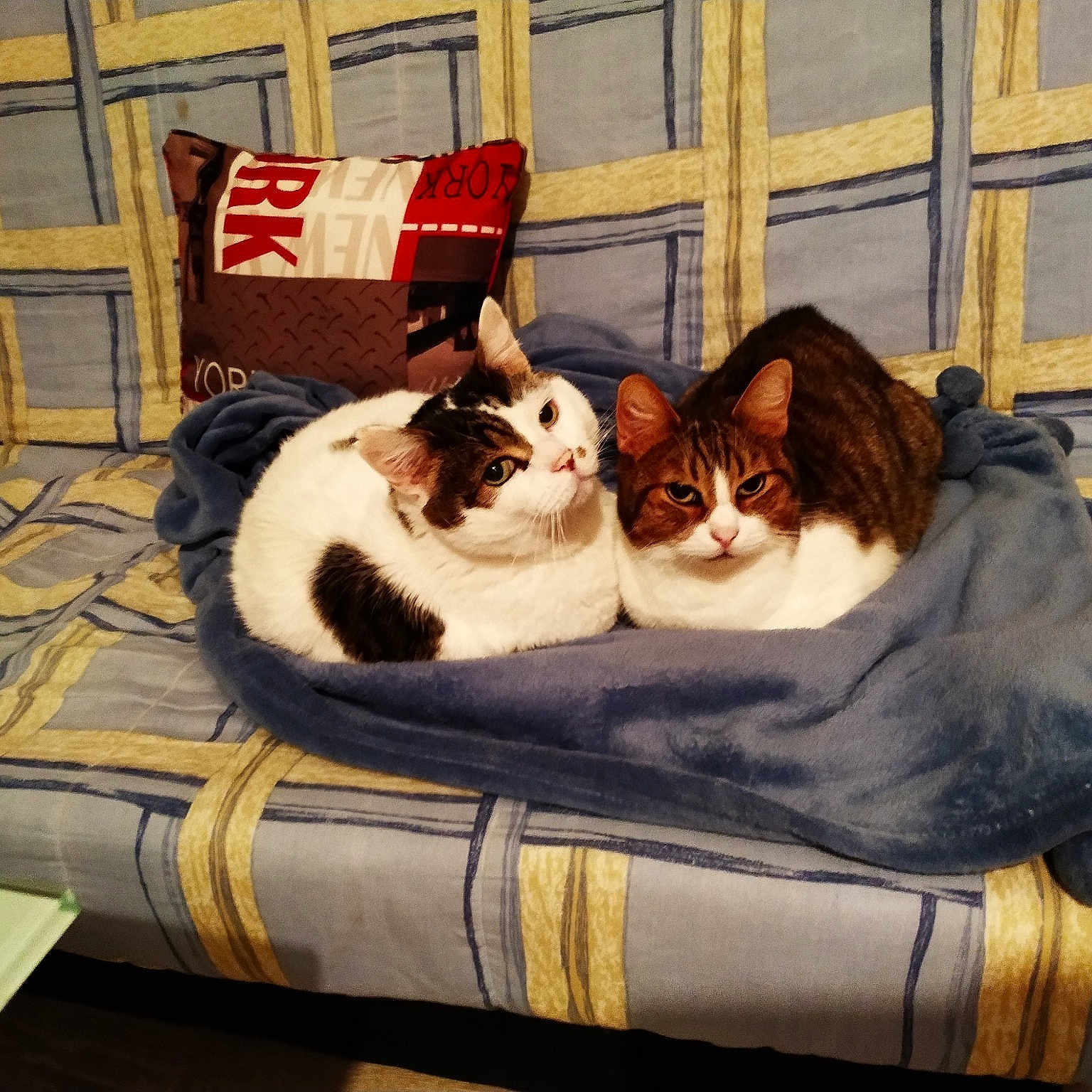 Max