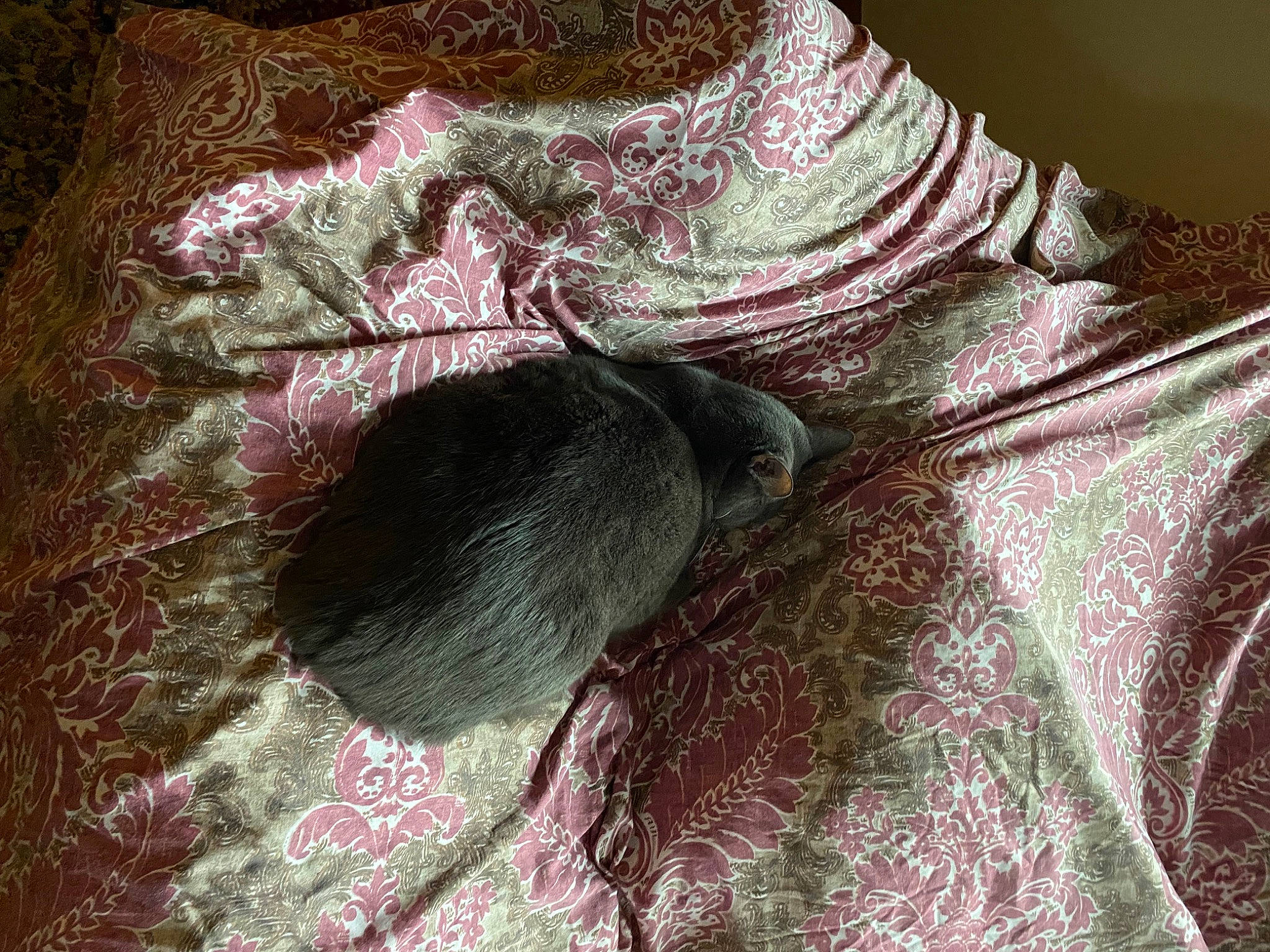 Chinnu is registered to the contest to win money with this photo: bag, comfort, denim, fashion_accessory, fashion_design, fawn, feather, fur, grey, linens, magenta, pattern, sleeve, tail, textile, thread, tints_and_shades, wool, woolen, woven_fabric