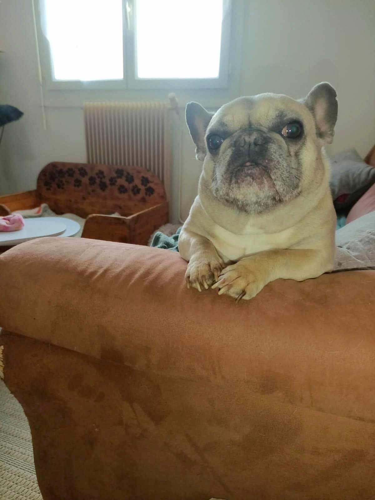Rita