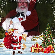Emma-Annaelise is registered to the contest to win money with this photo: cat, man, santa_claus, christmas, holiday, festive, bow_tie, glasses, beard, chair, snow, gift, presents, tree, decoration, celebration, portrait, costume, indoors, smile
