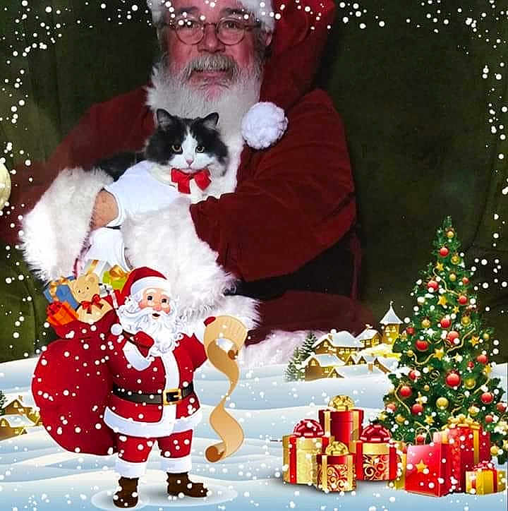 Emma-Annaelise is registered to the contest to win money with this photo: cat, man, santa_claus, christmas, holiday, festive, bow_tie, glasses, beard, chair, snow, gift, presents, tree, decoration, celebration, portrait, costume, indoors, smile