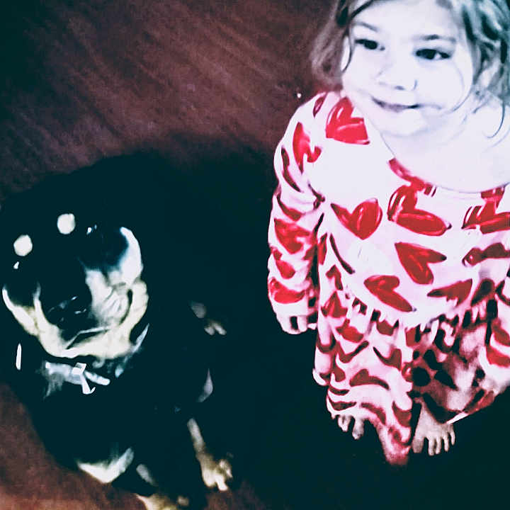 Jenna is registered to the contest to win money with this photo: animal, bulldog, canine, child, clothing, dog, face, female, girl, happy, head, husky, person, pet, photography, portrait, pug, puppy, smile, t_shirt