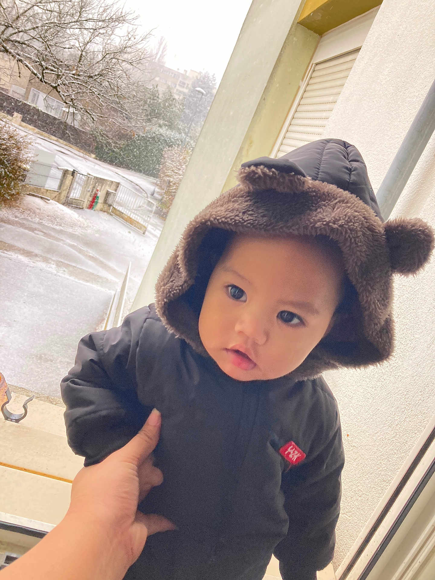 Narii a rejoint le concours — aidez-le/la à gagner de superbes lots ! toddler, child, baby, winter_clothing, hood, bear_ears, jacket, hand, snow, outdoor, window, face, portrait, cold_weather, person, cute, warm_clothing, expression, young_child, seasonal