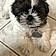 Gizmo