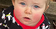 Iris joined the competition — help win amazing prizes! baby, child, infant, portrait, sitting, outdoor, bench, wood, leaf, blue_eyes, blond_hair, rosy_cheeks, black_outfit, patterned_clothing, red_trim, looking_at_camera, close_up, face, natural_light, autumn