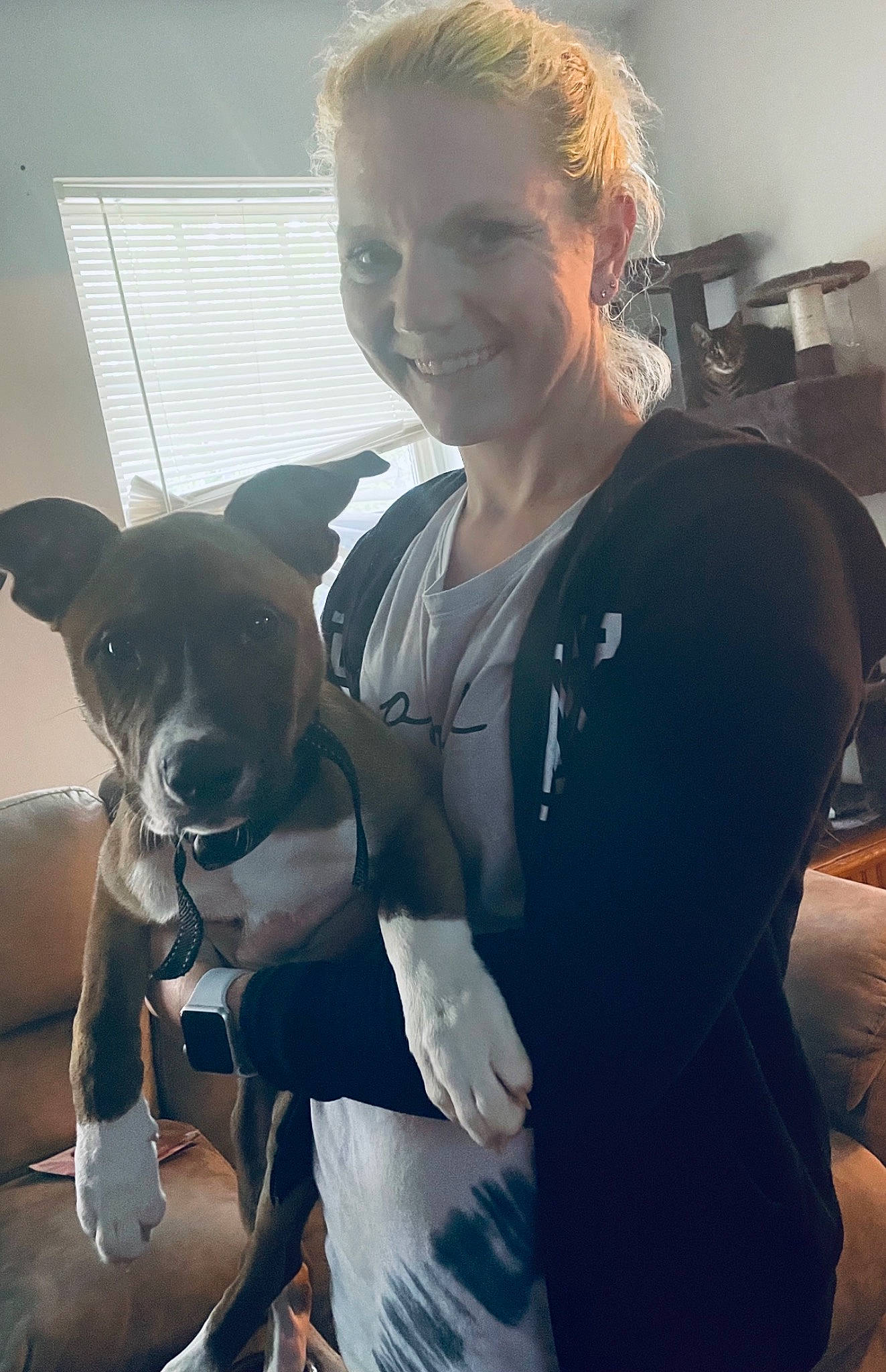 Pretzel is registered to the contest to win money with this photo: canidae, carnivore, chest, companion_dog, dog, dog_breed, elbow, eyewear, fawn, fun, jewellery, necklace, puppy_love, sitting, smile, snout, sporting_group, t_shirt, toy_dog, trunk