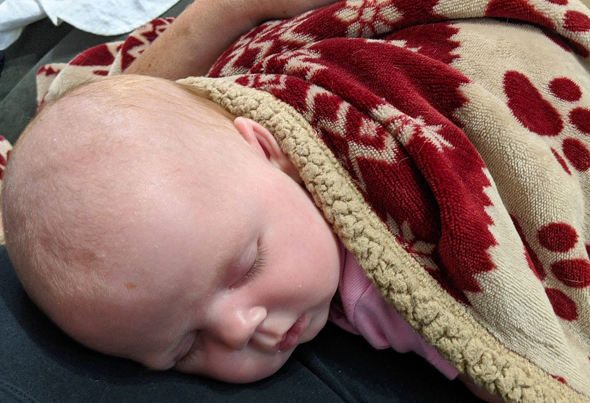 Kallie joined the competition — help win amazing prizes! baby, baby_sleeping, birth, blanket, child, head, lip, mouth, nap, person, pink, skin, sleep, toddler