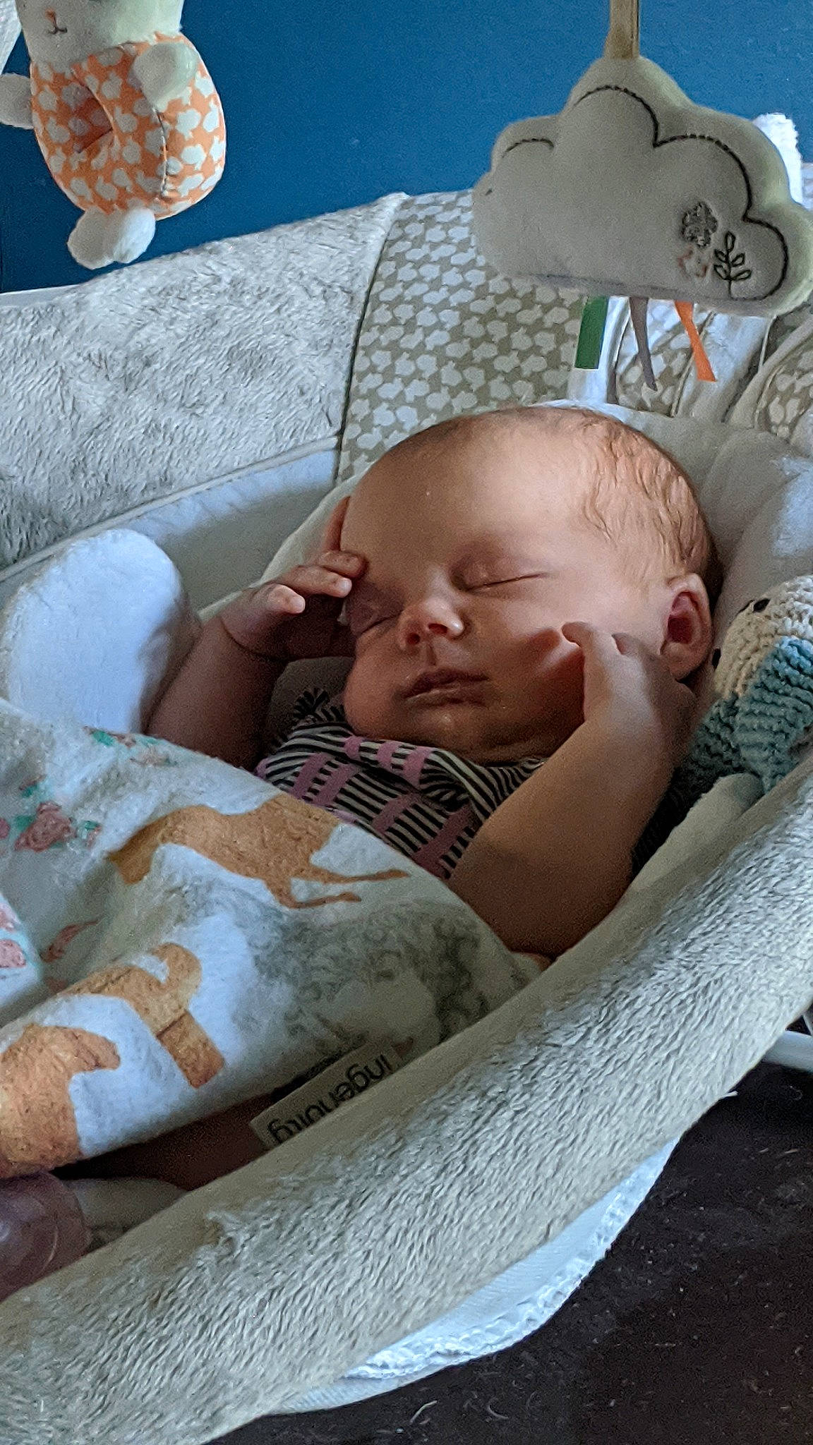 Kallie is registered to the contest to win money with this photo: baby, baby_safety, baby_sleeping, bedtime, birth, child, comfort, nap, person, product, sleep