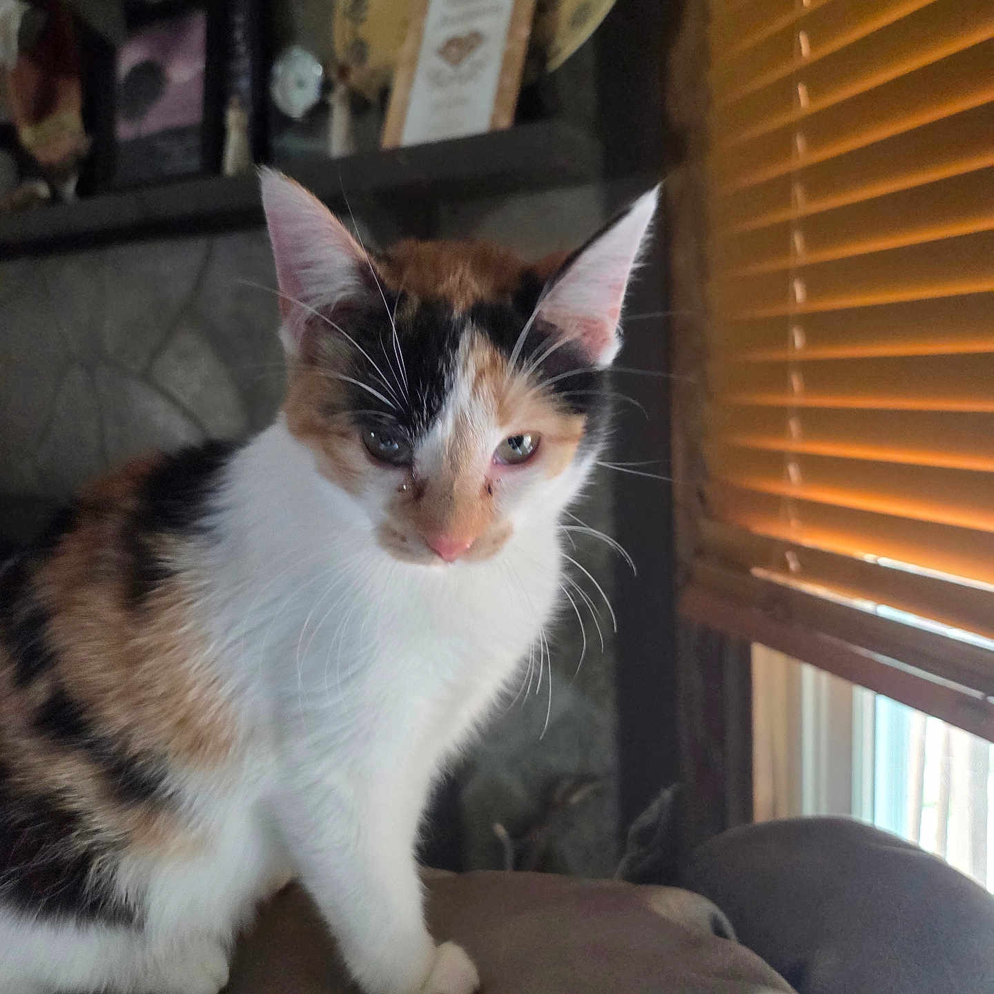 Sophie