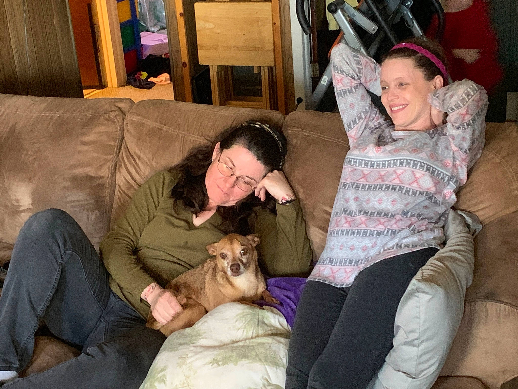 Chuck No joined the competition — help win amazing prizes! carnivore, comfort, companion_dog, couch, dog, dog_breed, event, fawn, fun, fur, lap, leisure, living_room, mammal, picture_frame, room, sitting, smile, thigh, vertebrate