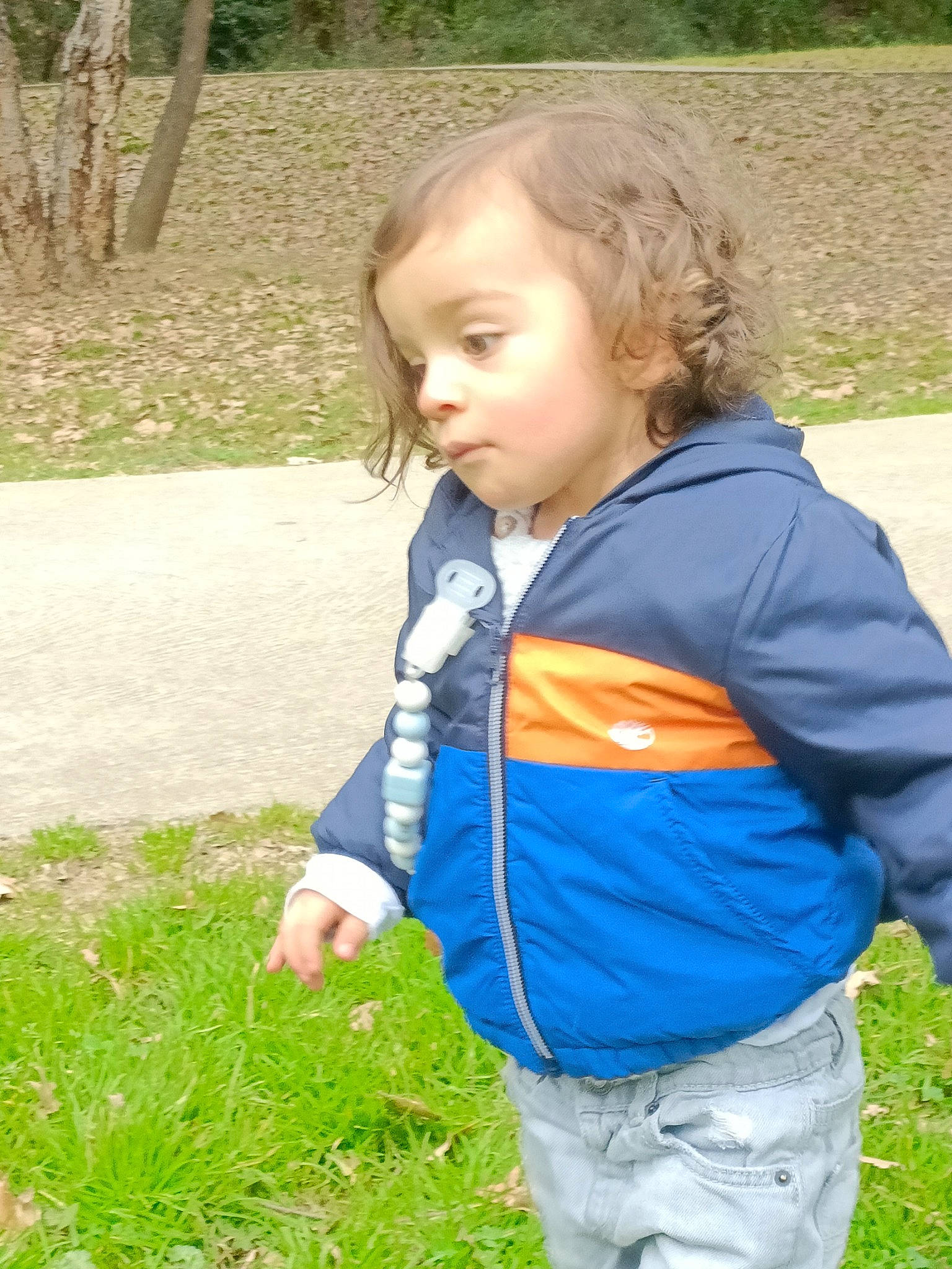 Ghjulianu participe au concours pour gagner de l'argent avec cette photo : baby_toddler_clothing, blond, botany, child, electric_blue, fun, garden, grass, grass_family, grassland, jacket, leaf, leisure, people_in_nature, person, plant, recreation, sleeve, spring, toddler