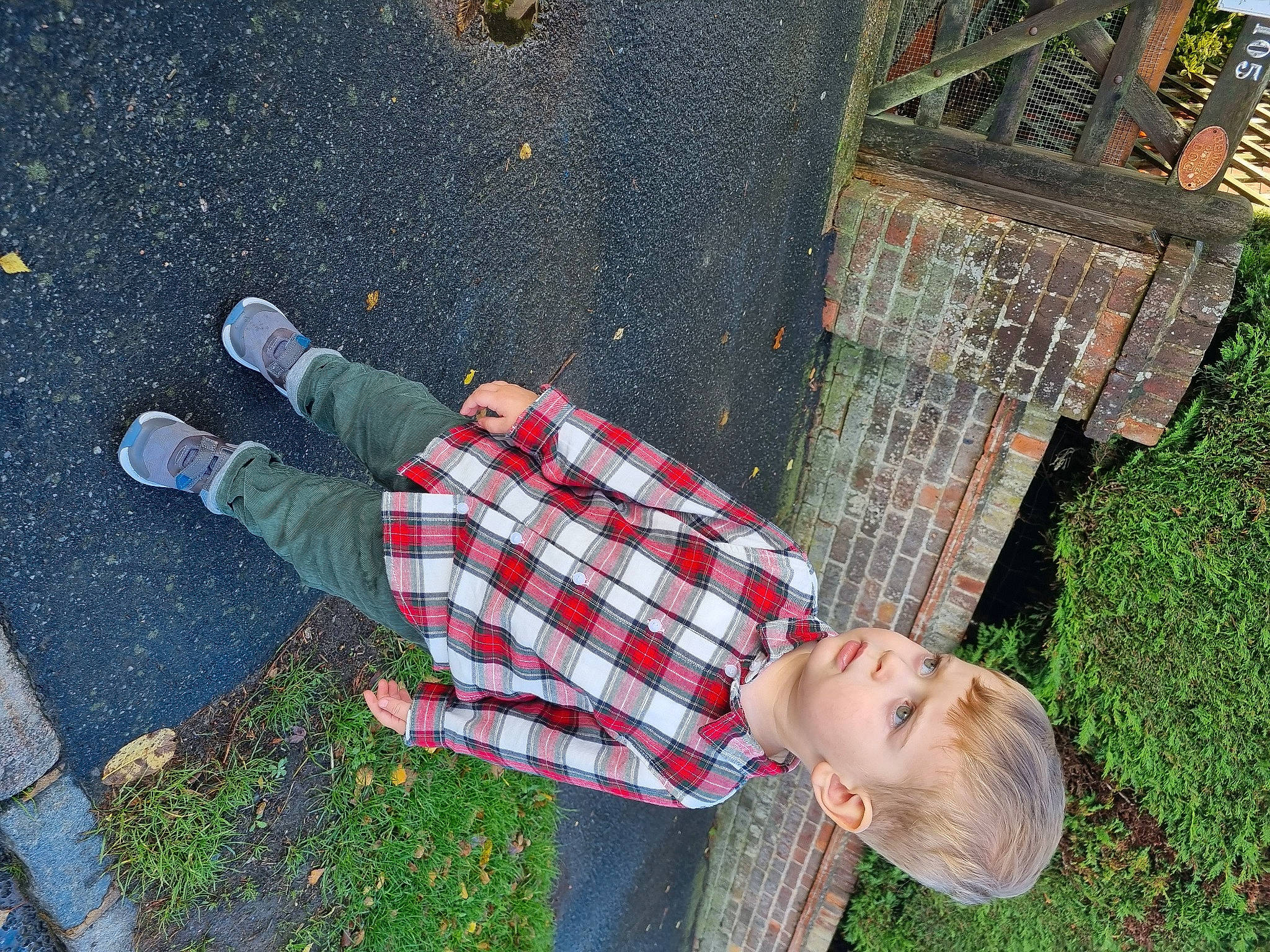 Edward joined the competition — help win amazing prizes! asphalt, fun, grass, grass_family, human_leg, leaf, leisure, pattern, people_in_nature, person, plaid, play, road_surface, shadow, sidewalk, soil, tartan, toddler, walking_shoe