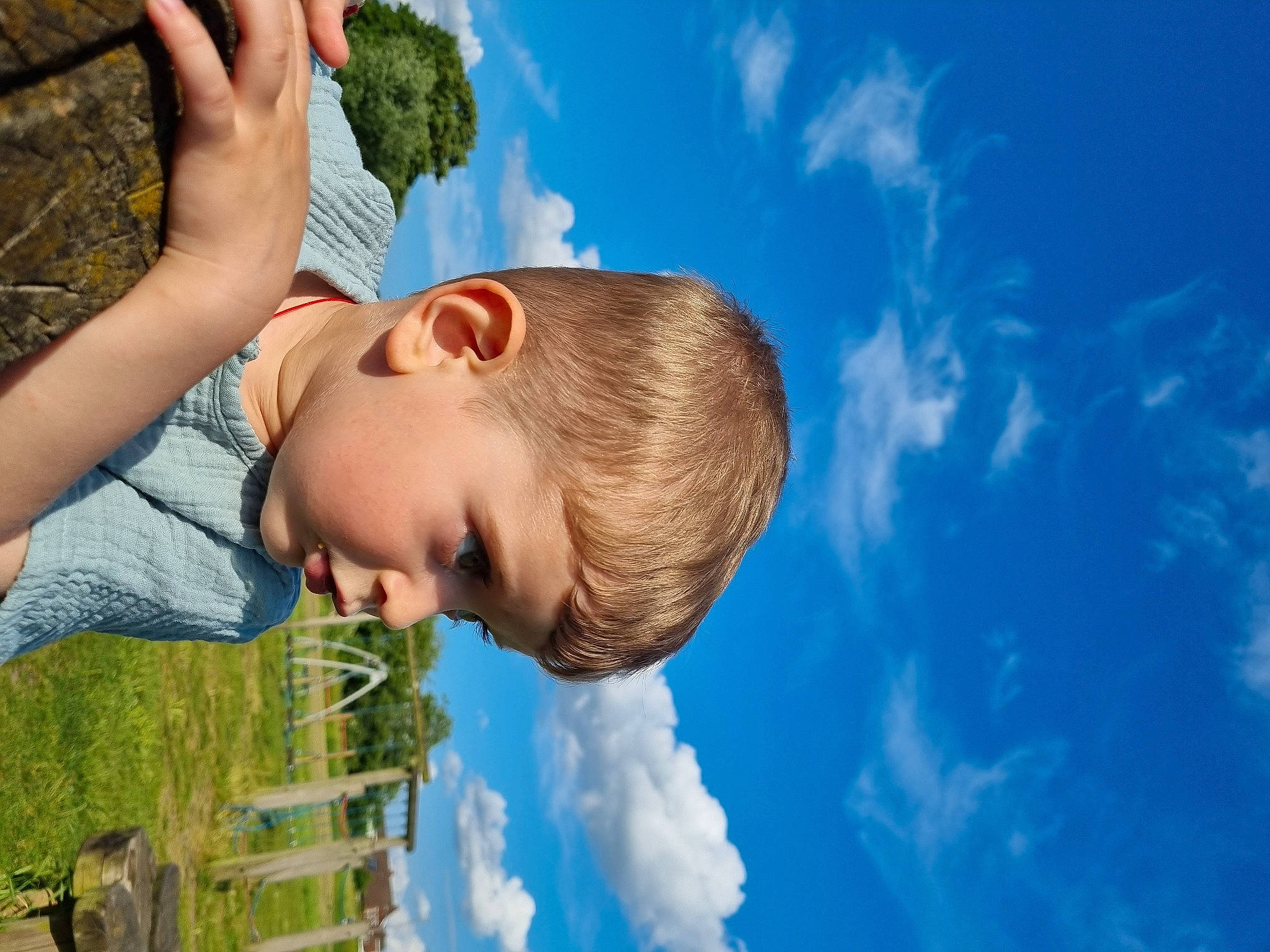 Edward joined the competition — help win amazing prizes! azure, cloud, cumulus, daytime, flash_photography, fun, gesture, grass, grassland, green, happy, leaf_vegetable, leisure, people_in_nature, person, plant, sky, summer, toddler, tree