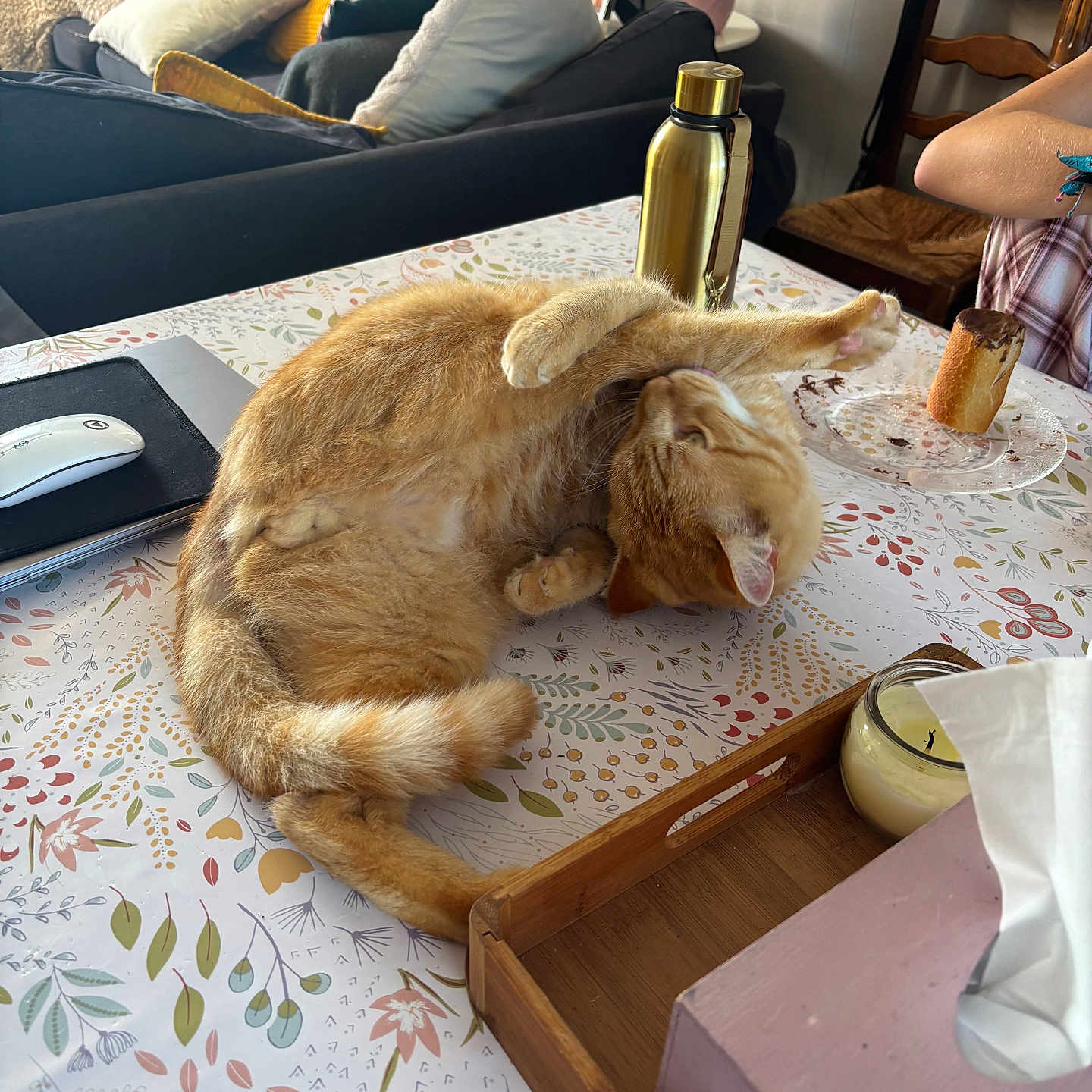 Simba