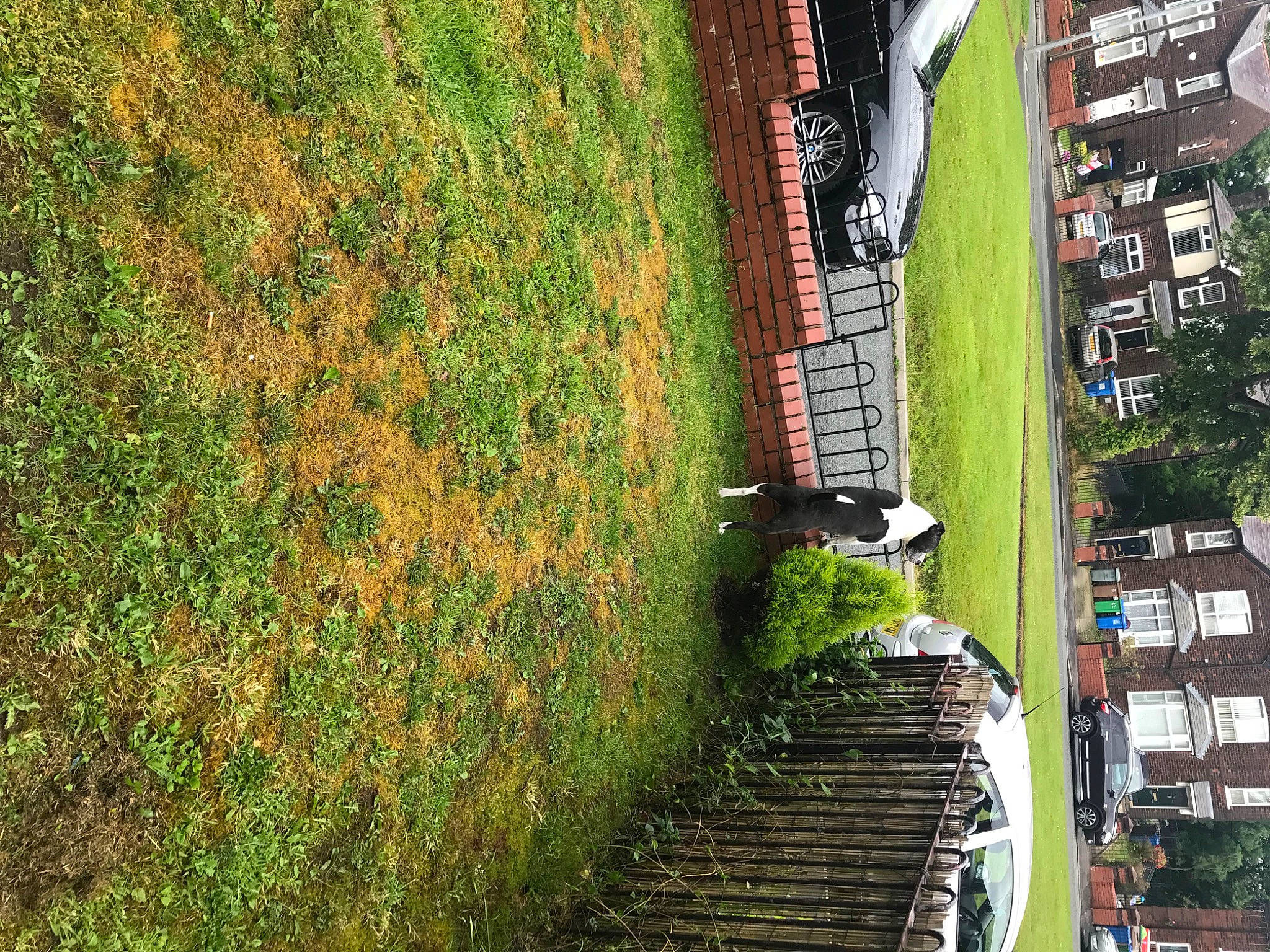 Rafi joined the competition — help win amazing prizes! building, facade, garden, grass, house, landscape, leaf, leisure, plant, reflection, roof, shadow, shrub, stairs, tints_and_shades, tree, trunk, urban_design, vegetation, wood