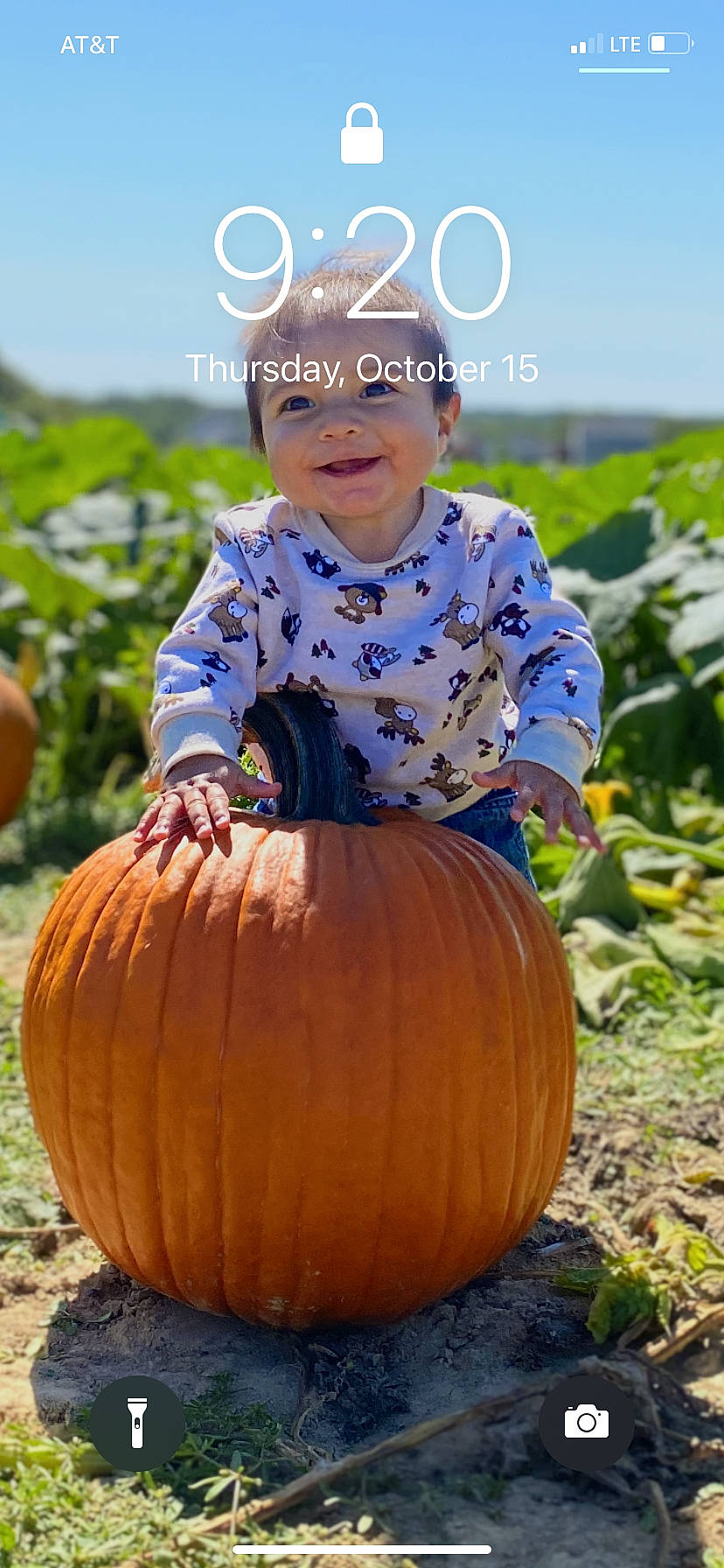 Leonardo is registered to the contest to win money with this photo: _and_melon_family, _gourd, calabaza, child, cucumber, cucurbita, food, fruit, gourd, headwear, joy, local_food, person, plant, produce, pumpkin, smile, squash, toddler, vegetable