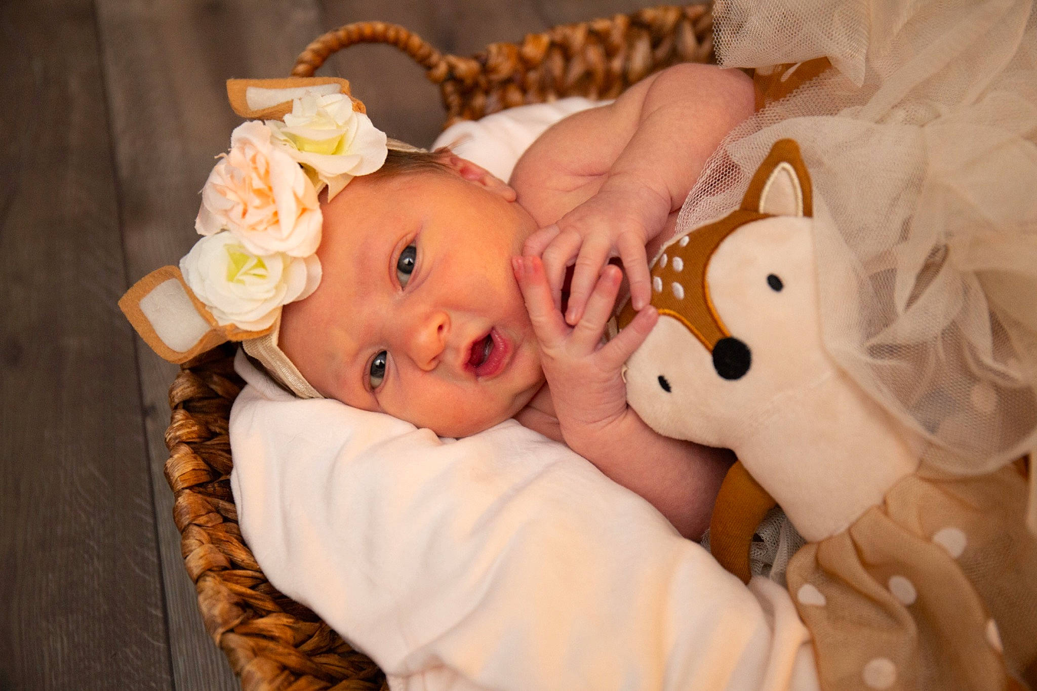 Emi Lee is registered to the contest to win money with this photo: baby, baby_products, baby_toddler_clothing, baby_toys, cheek, child, comfort, event, eyelash, fashion_accessory, fur, happy, headband, headpiece, headwear, peach, person, pink, sitting, skin