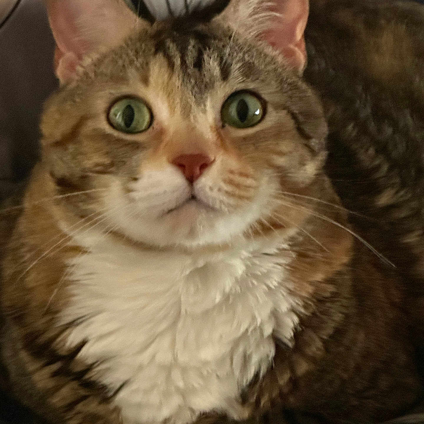 Jynx