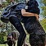 Dozer joined the competition — help win amazing prizes! dog, person, hug, outdoor, trees, flowers, backpack, sidewalk, black_dog, spotted_dog, sunny, nature, grass, casual_clothing, sneakers, pet, animal, friendship, affection, park