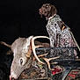 dog, deer, antlers, hunting, animal, atv, night, outdoor, vehicle, flash, collar, leash, fur, wildlife, nature, hunting_gear, camouflage, dark_background, blood, metal_mesh