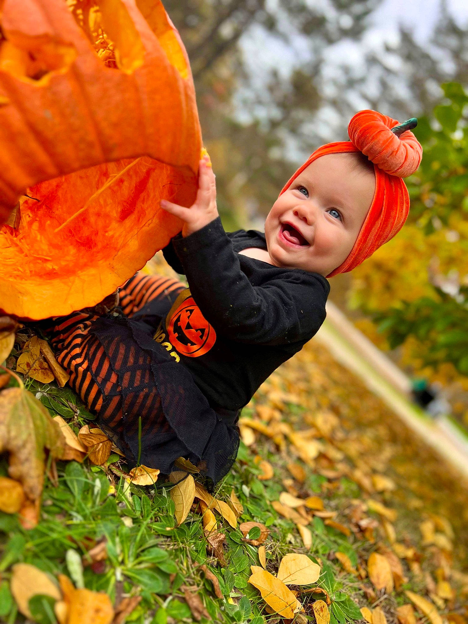 Annalise joined the competition — help win amazing prizes! calabaza, cucurbita, deciduous, eye, fun, gourd, grass, happy, headgear, joy, leisure, orange, outerwear, people_in_nature, person, plant, pumpkin, sky, smile, toddler