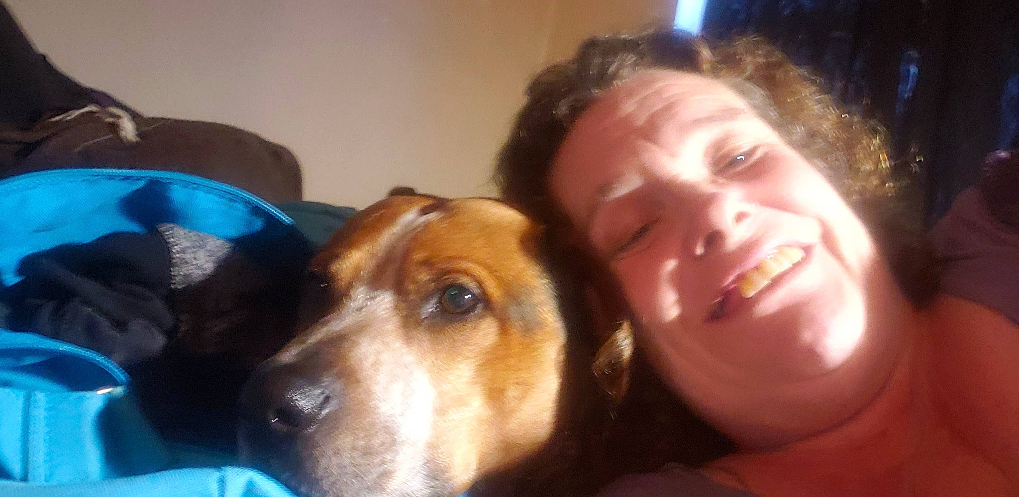 Stanley L Peafoot is registered to the contest to win money with this photo: canidae, carnivore, comfort, companion_dog, dog, dog_breed, ear, eye, eyelash, fawn, fur, happy, jaw, nose, scent_hound, selfie, smile, snout, sporting_group, whiskers