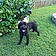 Bentlee