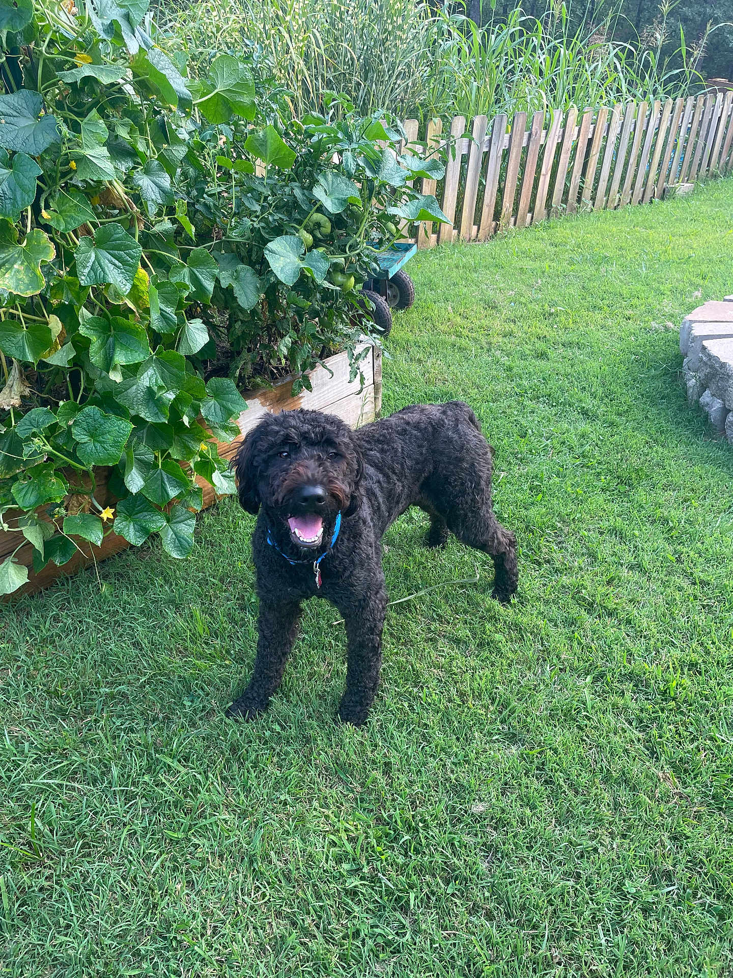 Bentlee