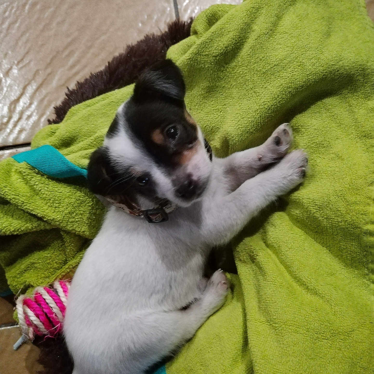 Ayden