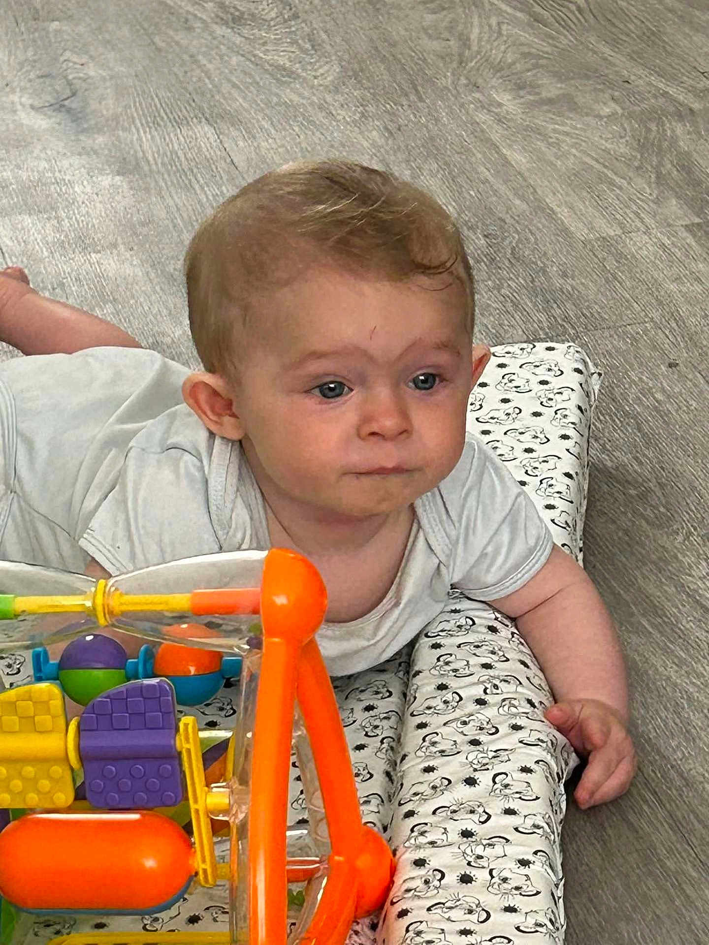 Logan is registered to the contest to win money with this photo: baby, child, toy, floor, cushion, pattern, onesie, infant, indoor, colorful, orange, purple, yellow, play, curious, person, face, head, hand, wood