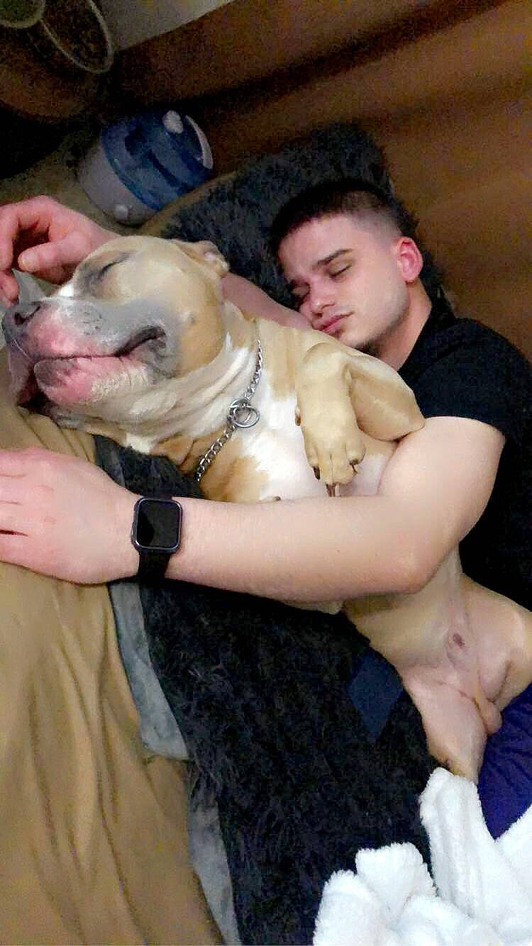 Biggie Smalls is registered to the contest to win money with this photo: abdomen, barechested, canidae, carnivore, chest, collar, companion_dog, dog, dog_breed, fawn, fur, gesture, jewellery, navel, puppy_love, sitting, sporting_group, thigh, trunk, watch