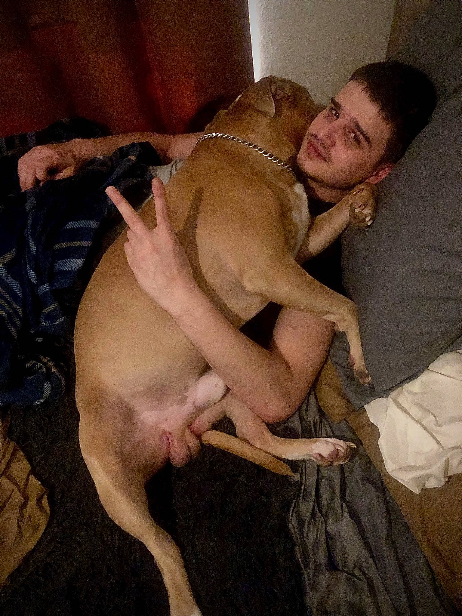 Biggie Smalls joined the competition — help win amazing prizes! abdomen, barechested, carnivore, chest, comfort, companion_dog, couch, dog, dog_breed, fawn, flash_photography, fur, gesture, happy, human_leg, knee, sitting, smile, thigh, trunk