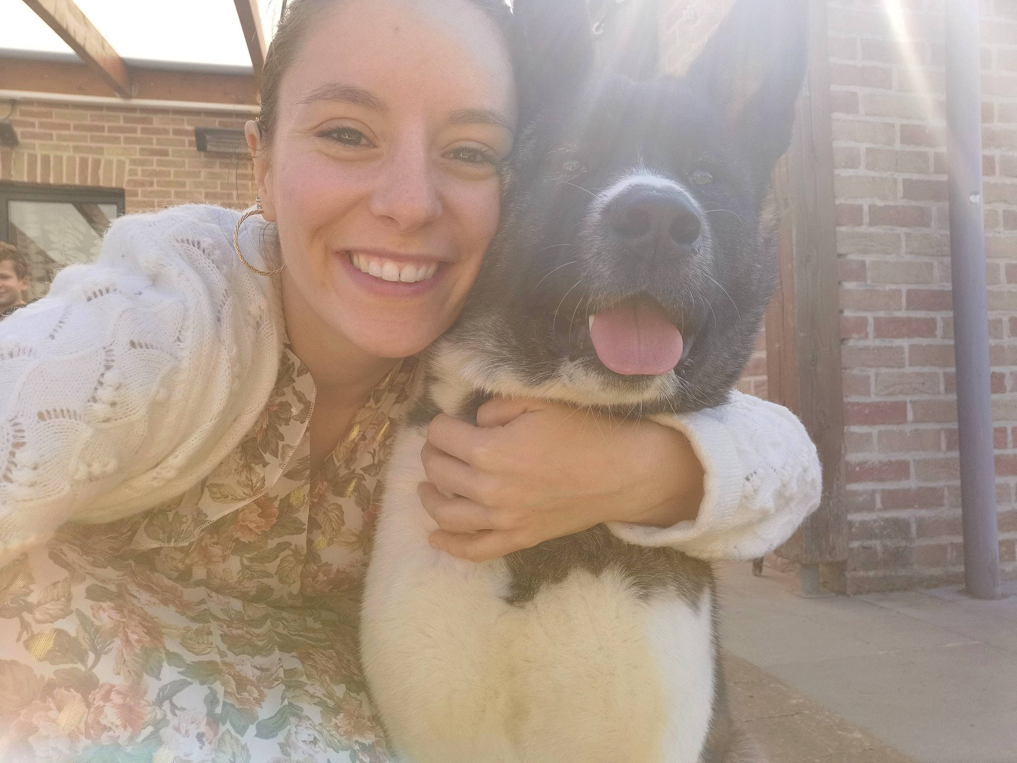 Alpha a rejoint le concours — aidez-le/la à gagner de superbes lots ! canidae, carnivore, companion_dog, dog, dog_breed, fawn, fur, nose, photography, puppy, puppy_love, pyrenean_mastiff, selfie, smile, sporting_group