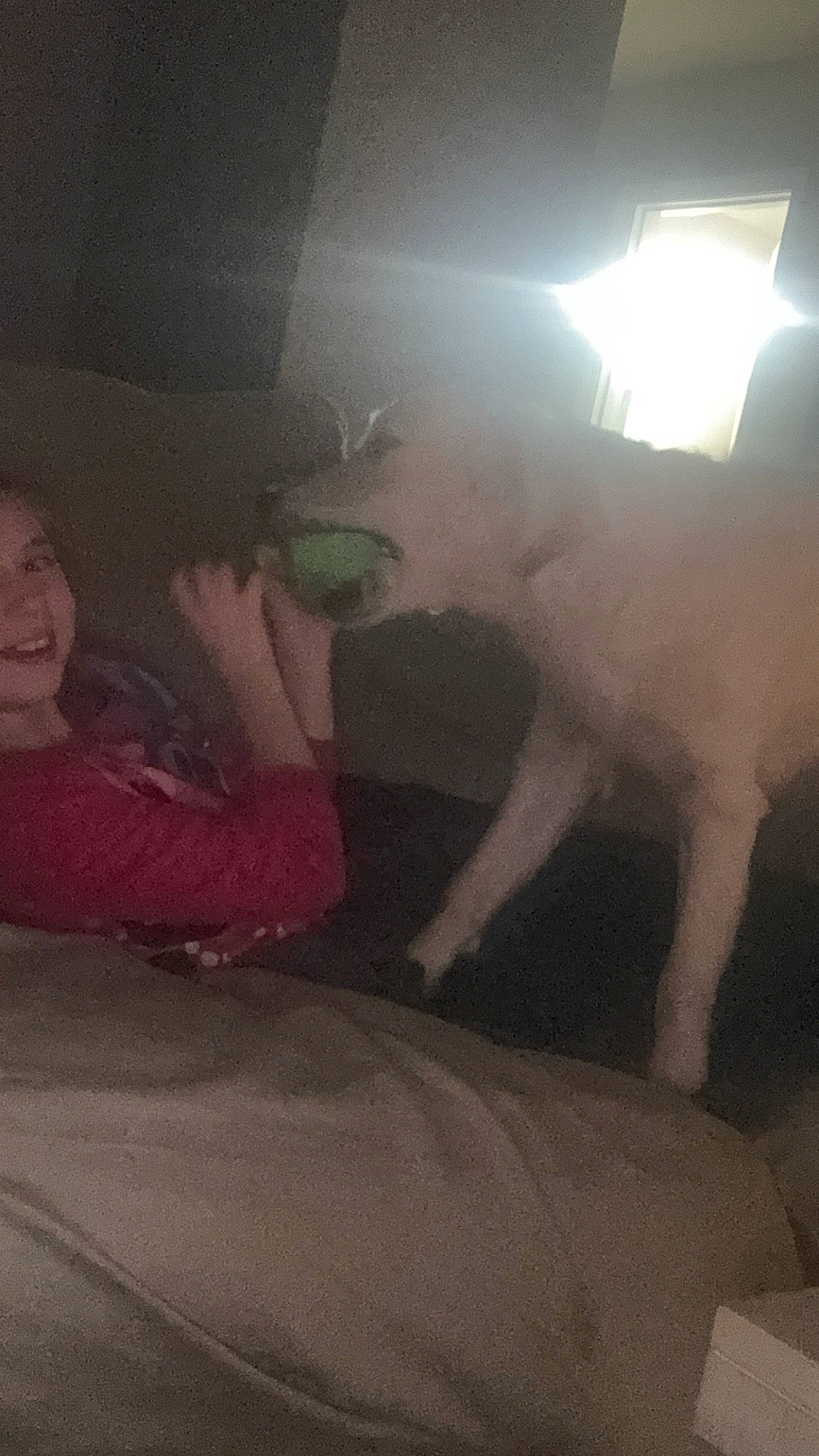 Blitz joined the competition — help win amazing prizes! carnivore, chest, darkness, dog, dog_breed, event, flesh, fun, fur, gesture, human_leg, lens_flare, light_fixture, midnight, night, room, tail, thigh, tints_and_shades