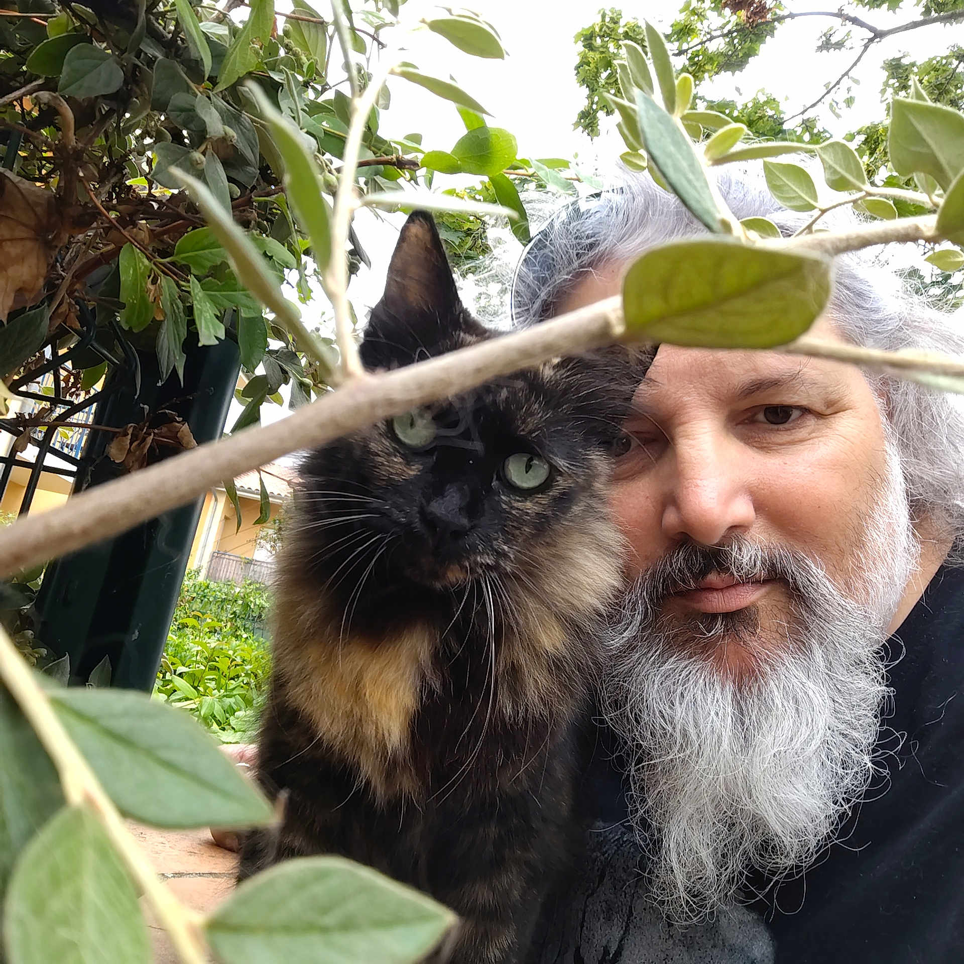 Doucette participe au concours pour gagner de l'argent avec cette photo : animal, beard, casual, cat, closeup, companionship, face, foliage, friendship, garden, gray_hair, greenery, leaf, man, nature, outdoor, pet, plant, portrait, tortoiseshell_cat