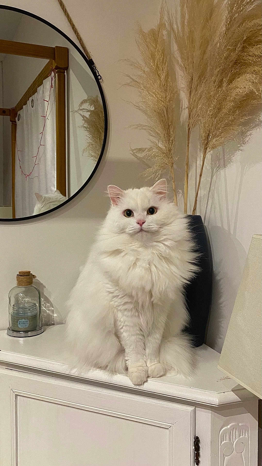Lord Yuki