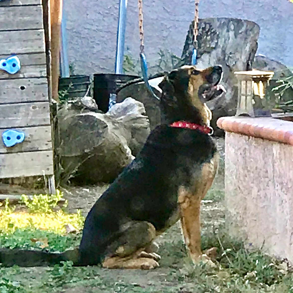 Zeus