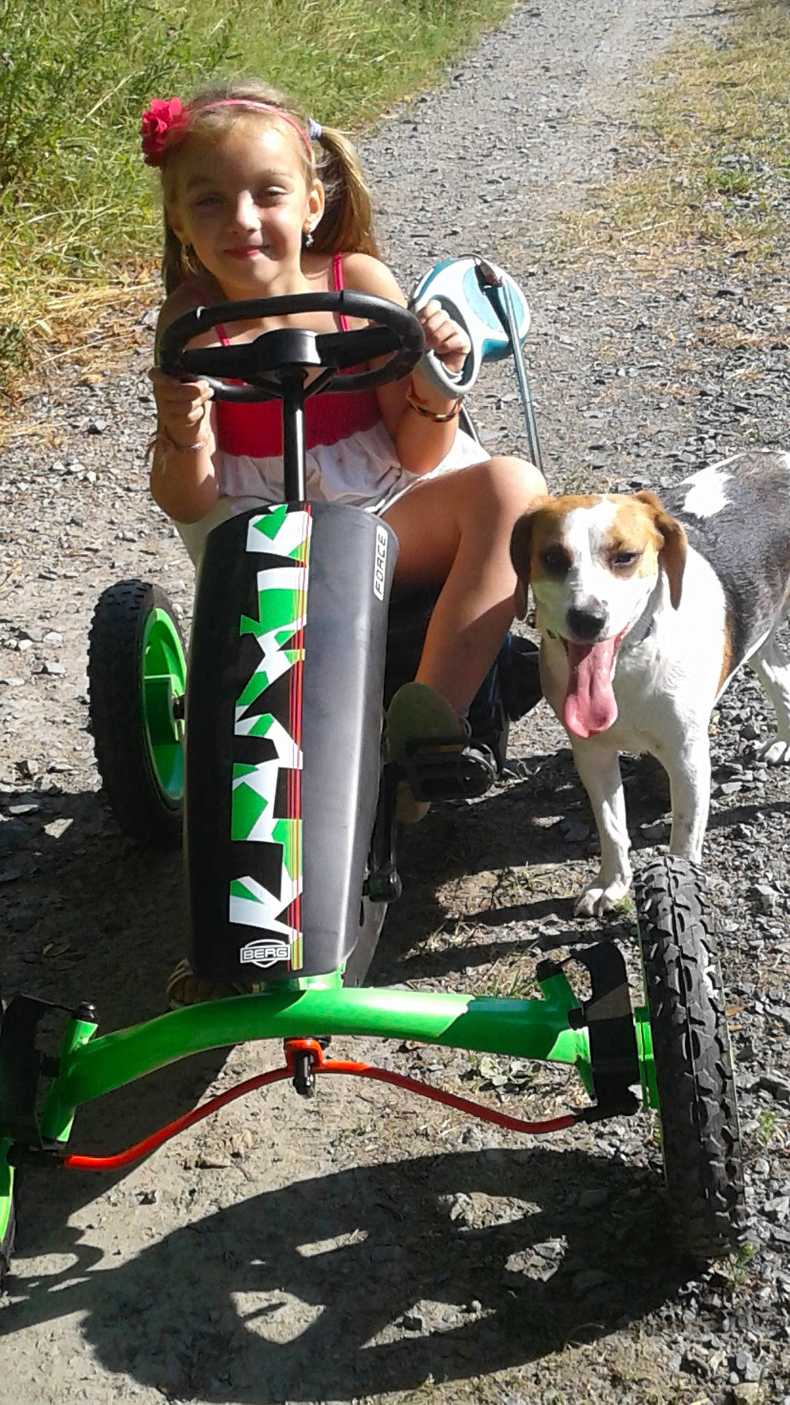 Michaella a rejoint le concours — aidez-le/la à gagner de superbes lots ! car, dog, dog_like_mammal, fun, person, play, product, public_space, race, sports_equipment, vehicle, vertebrate