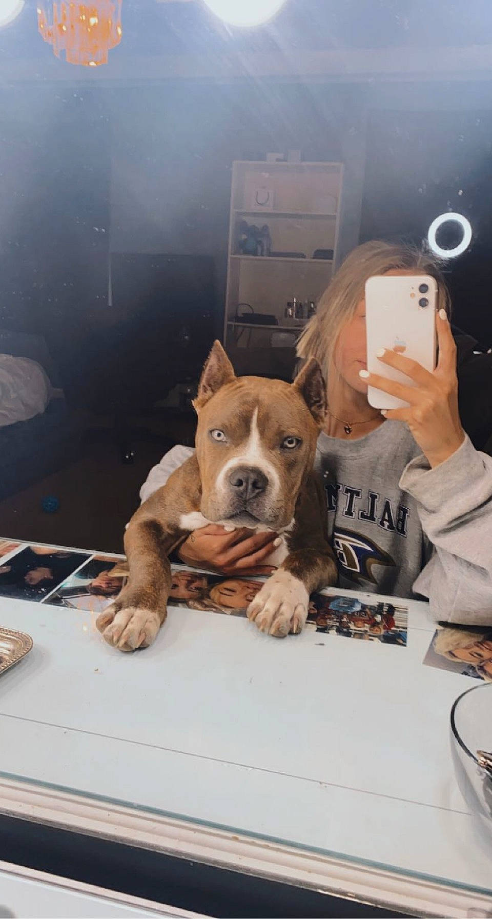 Cali joined the competition — help win amazing prizes! canidae, carnivore, chair, coffee_cup, comfort, companion_dog, cup, dog, dog_breed, drinkware, fawn, flooring, fur, mug, plate, serveware, snout, sporting_group, table, tableware