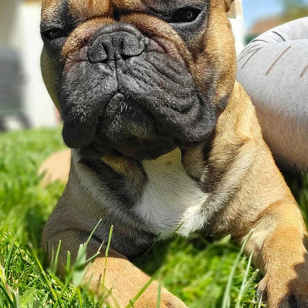 Pablito