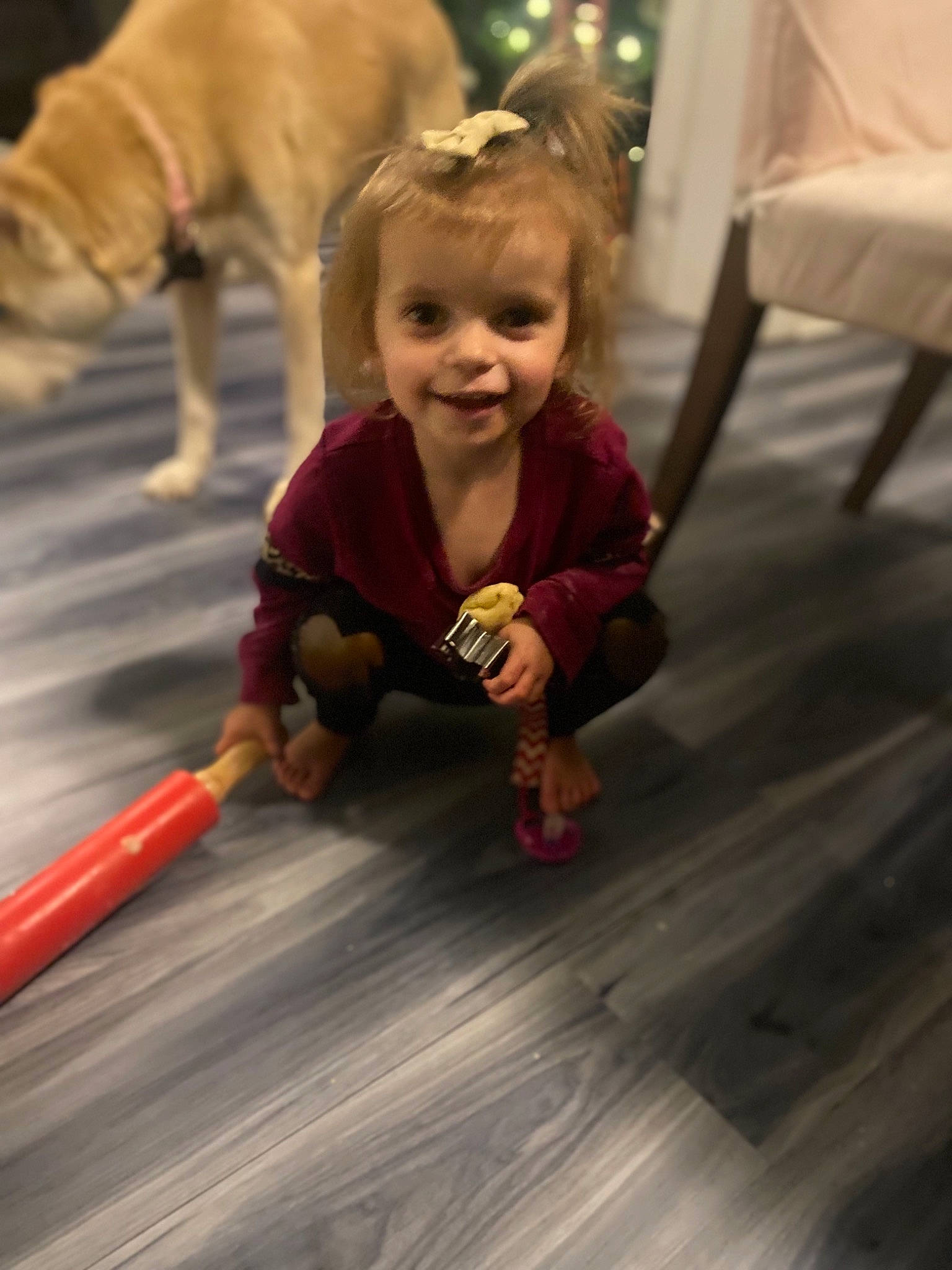 Ainsley joined the competition — help win amazing prizes! carnivore, child, companion_dog, eye, floor, flooring, fun, fur, hair, happy, hardwood, joy, leisure, mammal, person, recreation, sitting, smile, toddler, vacation