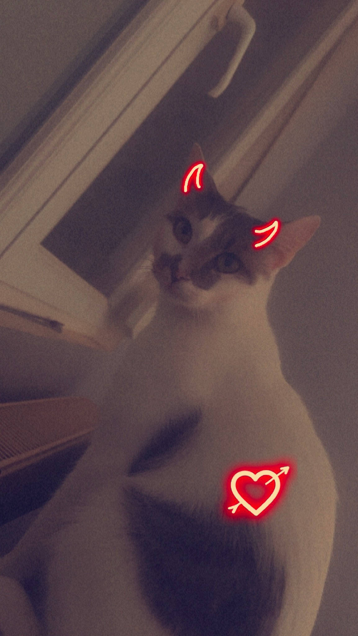 Titus participe au concours pour gagner de l'argent avec cette photo : automotive_design, automotive_lighting, carmine, darkness, flesh, font, gas, gesture, heat, magenta, nail, night, petal, room, shadow, thumb, tints_and_shades, wing