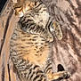 cat, tabby_cat, striped, feline, pet, animal, sleeping, relaxed, indoor, blanket, soft_texture, fur, whiskers, paw, tail, resting, comfort, cozy, human_foot, bedroom