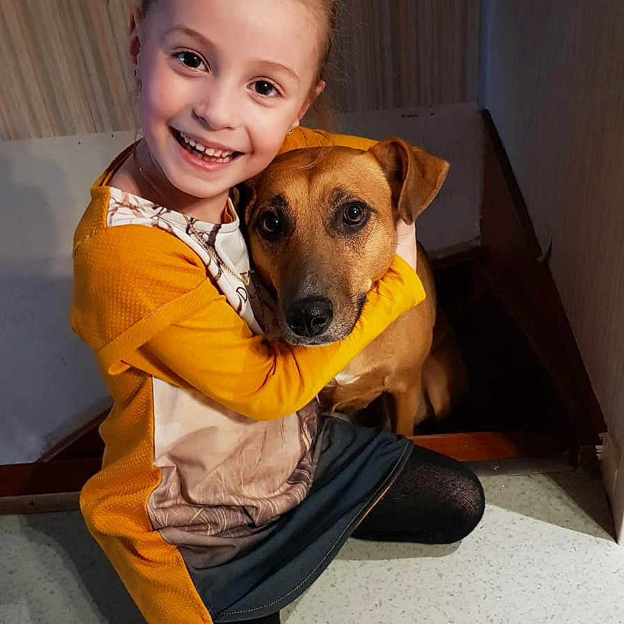 Noëlly a rejoint le concours — aidez-le/la à gagner de superbes lots ! black_mouth_cur, canidae, carnivore, child, chinook, companion_dog, dog, dog_breed, fawn, joy, mammal, person, potcake_dog, rare_breed_dog, rhodesian_ridgeback, yellow