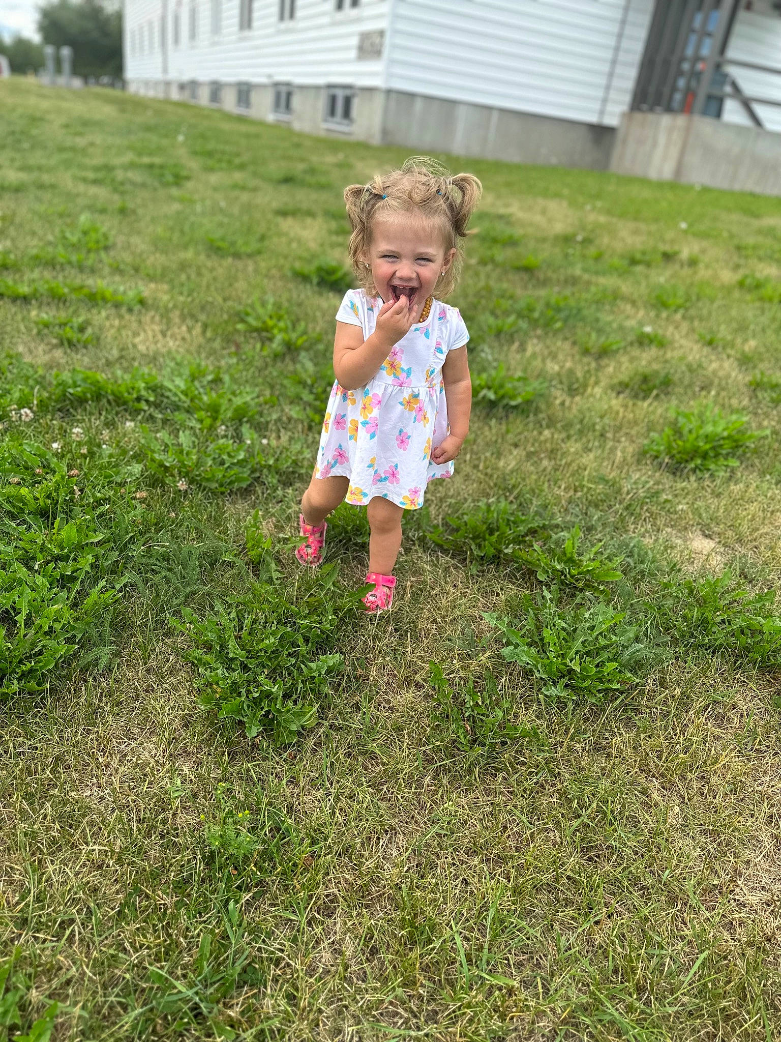 Stella is registered to the contest to win money with this photo: baby_toddler_clothing, child, fun, grass, grass_family, grassland, groundcover, hair, happy, house, joy, landscape, lawn, meadow, people_in_nature, person, plant, prairie, shrub, soil