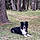 Blacky